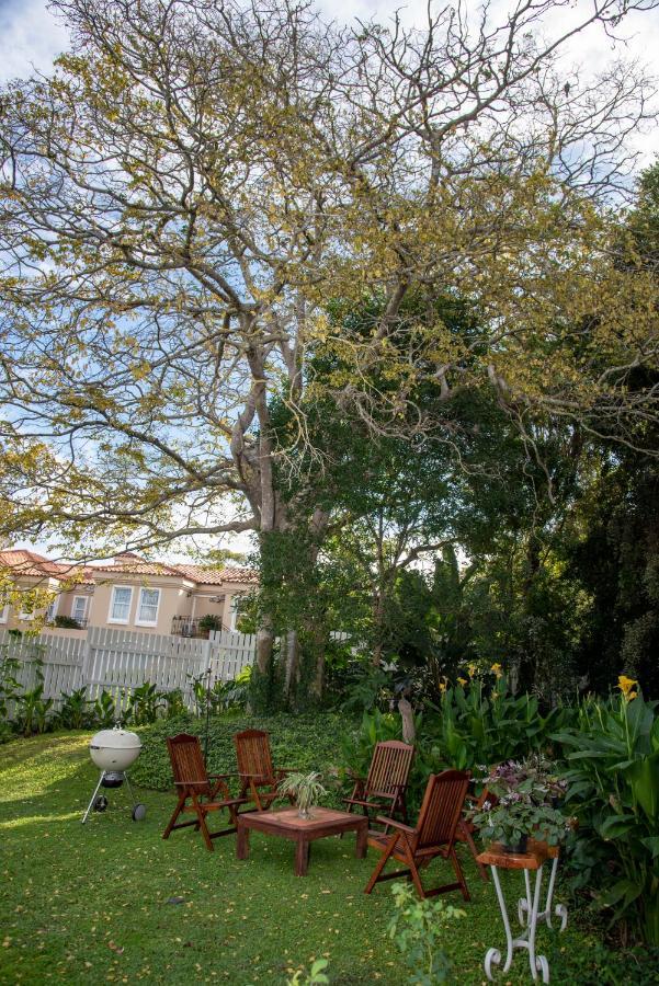 Appartement La Lupa Nera à Knysna Extérieur photo